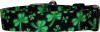 Vibrant Shamrocks Black H